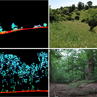 53. LIDAR point cloud cross sections and field photographs (detail from Fig. 3)
