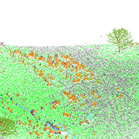 62. Classification results visualized in a 3D LiDAR point cloud (detail from Fig. 4a2)