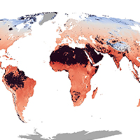65. Global map of mean annual topsoil temperature (detail from Fig. 4a)